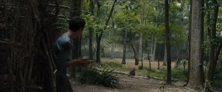 Scène du film — Forêt de Calgary